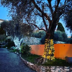 B&B / Chambres d'hotes Lou Candelou : photos des chambres