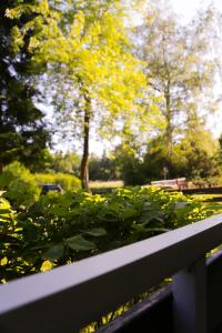 Ferienwohnung Berg-Klee