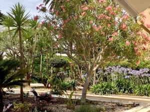 Hotels Hotel Diana : photos des chambres