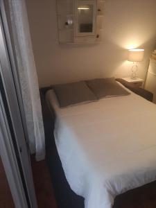 Appartements Studio climatise Centre Port Piscine : photos des chambres