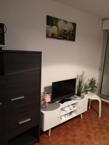 Appartements Studio climatise Centre Port Piscine : photos des chambres