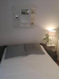 Appartements Studio climatise Centre Port Piscine : photos des chambres