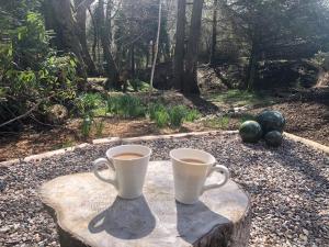 Distant Hills Guest House