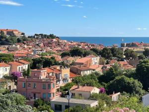 obrázek - Collioure soleil marin