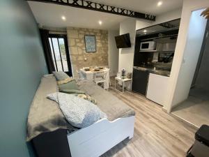 Appartements Studio Indre climatise, La halte de Cuze, aux abords de la Loire a velo : photos des chambres