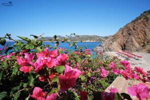 Nuraghe Apartments img20