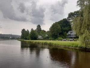 Bee Tree Appartement