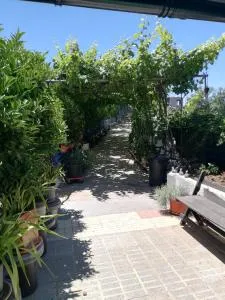 Casa Mari Carmen y Jose - Las Fuentes