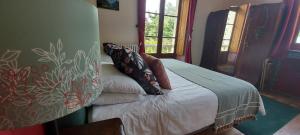 B&B / Chambres d'hotes Villa Gracieuse : Chambre Double ou Lits Jumeaux Deluxe - Vue sur Montagne