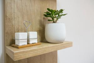 Mina Studio Apartment Budva