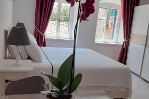Comfortable studio in old town 