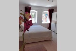 Comfortable studio in old town 