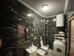 3 Room Apartment near city center