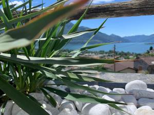 Appartamento ai Ronchi