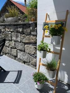 Appartamento ai Ronchi