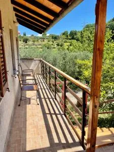 Apartment Olive Grove - Serore
