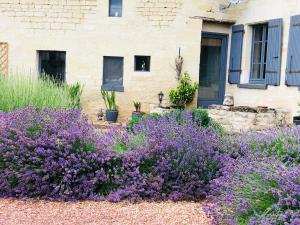 B&B / Chambres d'hotes Maison de Lavande : photos des chambres
