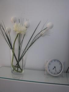 Apartman Šuperba A2