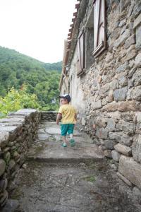 Maisons de vacances Location Mas avec Piscine Haut Vallespir : photos des chambres