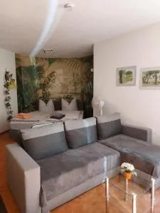 Apartment Blütenstadt Werder im Souterraine - Plessow