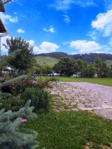 Pensiunea Cristiana-Bucovina