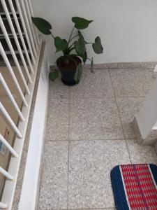 Pousada avenida 03 com ar condicionado