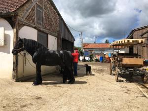 Maisons de vacances JARDIN DE CAMPAGNE : photos des chambres