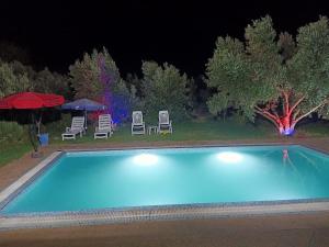 Jardin de rayane