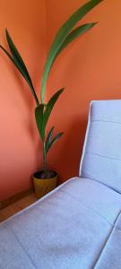 Porto River Sunset 7th