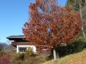 Ferienwohnung Hans Ebner