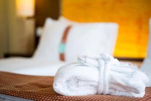 Superior Twin Room room in Holiday Inn - Salzburg City