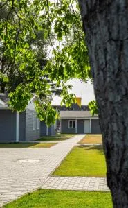 Poiana cu flori - Botiz