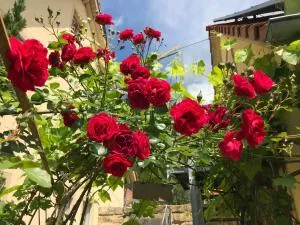 Naturapur - Ettenstatt