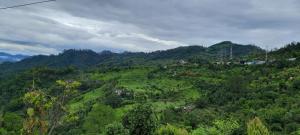 Valley View