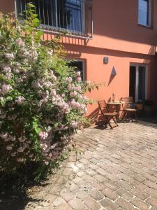 Moderne großzügige Souterrainwohnung Zarrentin Gallin Schaalsee Natur Wald Wasser - Appartementen, Gallin