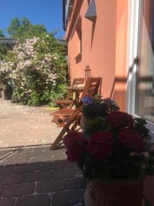 Moderne großzügige Souterrainwohnung Zarrentin Gallin Schaalsee Natur Wald Wasser