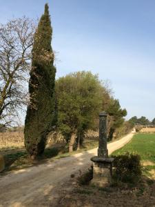 Maisons d'hotes Chateau Pech-Celeyran : photos des chambres