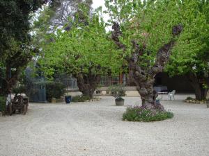 Maisons d'hotes Chateau Pech-Celeyran : photos des chambres