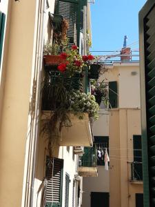 Economy Double Room room in Albergo Massena