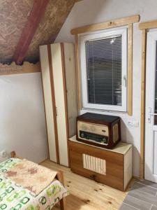 GUEST HOUSE TEA 2 ORGANIC FOOD AND DEGUSTATION TEA