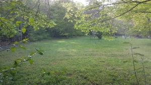 Maisons de vacances Lovely 2-Bed shepherds hut in a Forest : photos des chambres