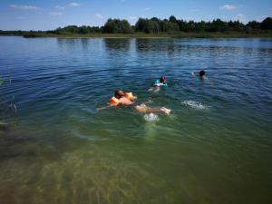 domki domek na jeziorem Wilczyńskim Budzisławskim , las, osobno ogrodzony 2-6 osób- klimatyzacja, ogrzewanie, 62-550 Zygmuntowo gm Wilczyn
