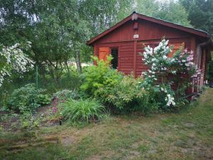 domki domek na jeziorem Wilczyńskim Budzisławskim , las, osobno ogrodzony 2-6 osób- klimatyzacja, ogrzewanie, 62-550 Zygmuntowo gm Wilczyn