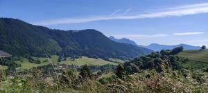 Appartements Appartement T2 a BERNEX avec WiFi, vue sur montagne : photos des chambres