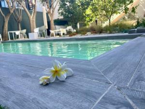 Zest Boutique Hotel by The Living Journey Collection