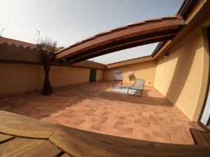 Open Space Rose img43