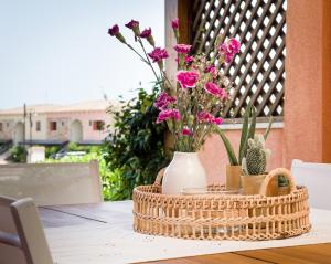 Myrsine 7S - Klodge img14