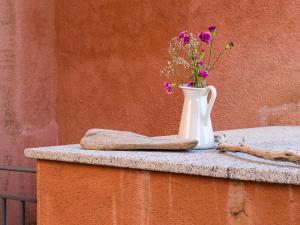 Myrsine 7S - Klodge img17