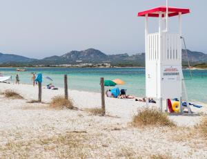 Myrsine 7S - Klodge img26