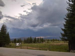 Pensiunea Floare de Colt